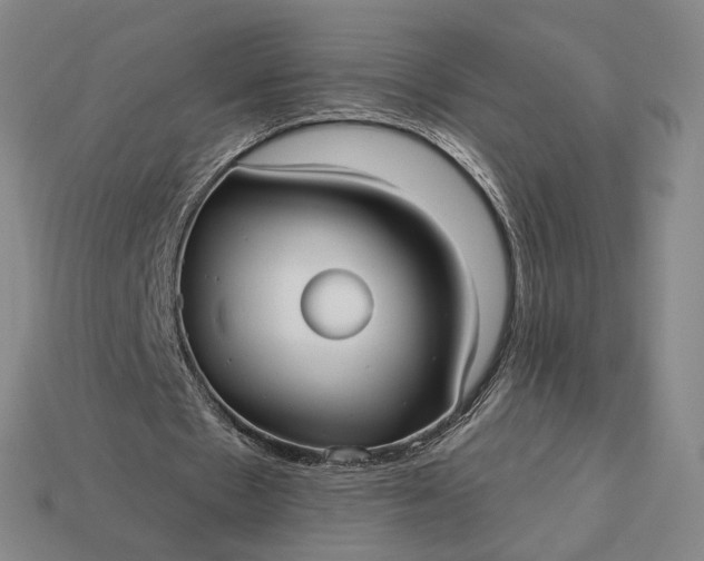 X0000112960481200909101635