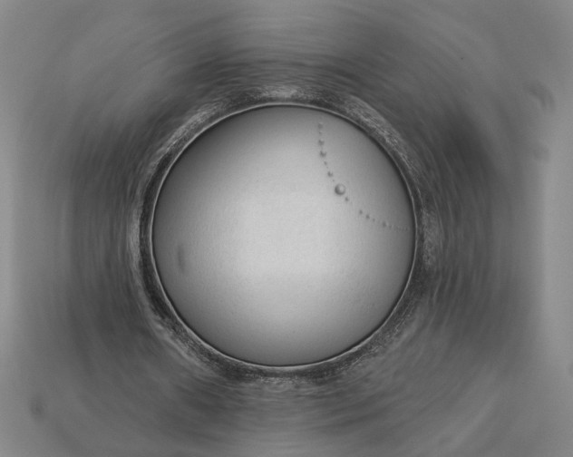 X0000112960482200909101635