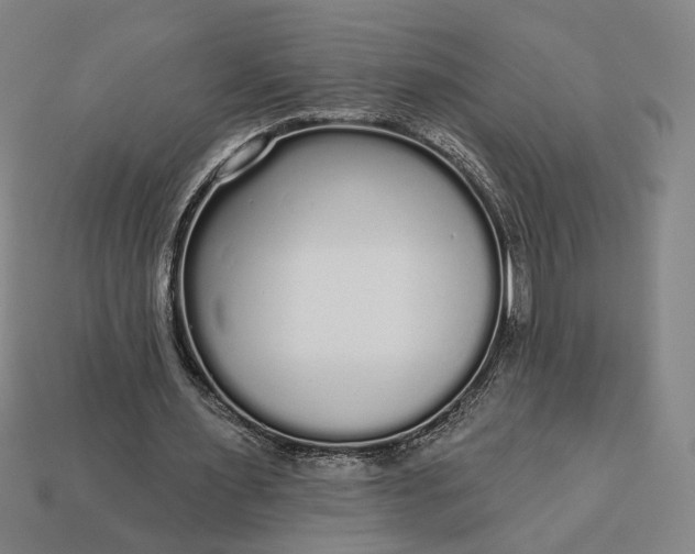 X0000112960483200909101635