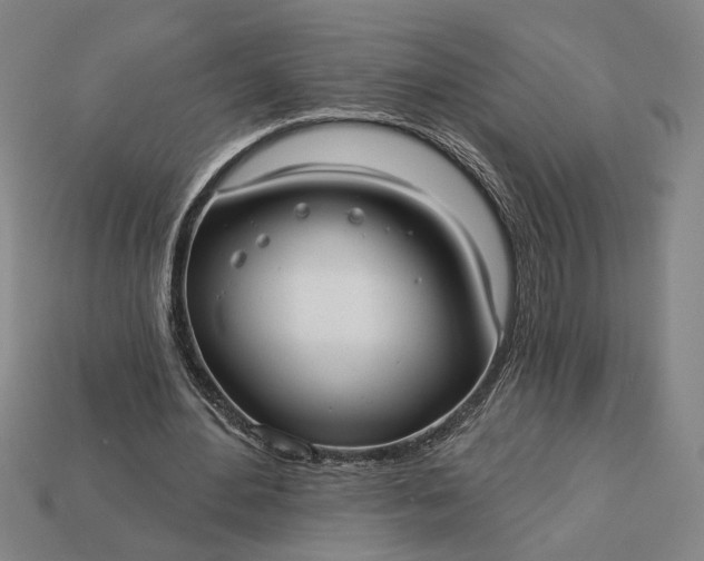 X0000112960484200909101635