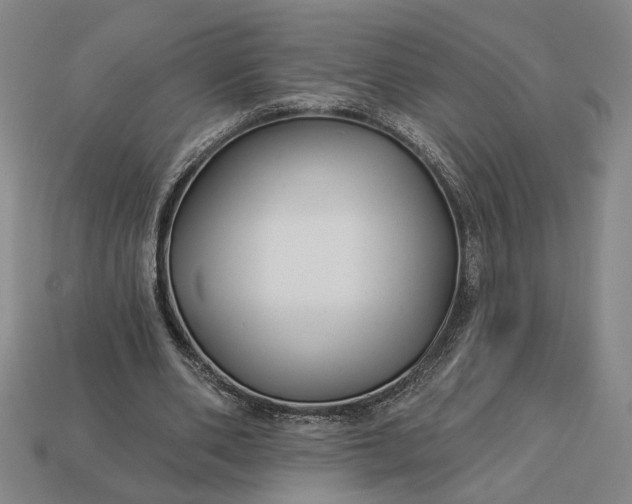 X0000112960486200909101635