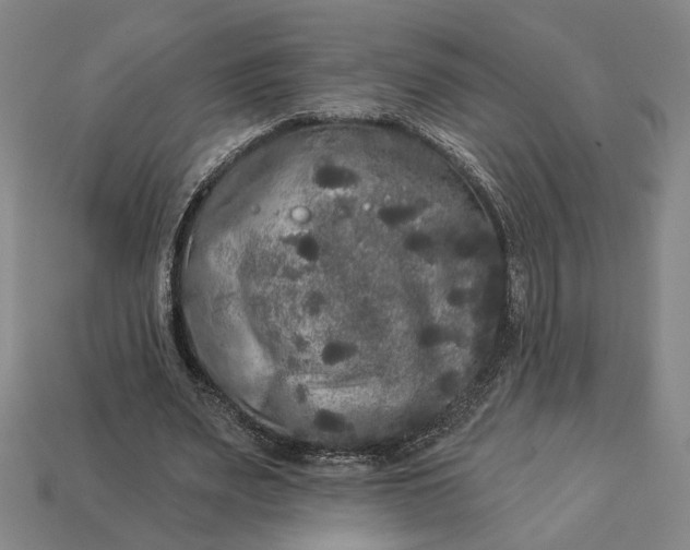 X0000112960487200909101635