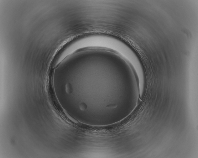 X0000112960488200909101635