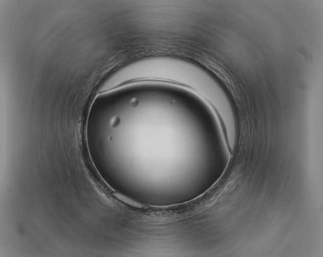 X0000112960489200909101635