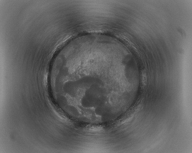 X0000112960491200909101635