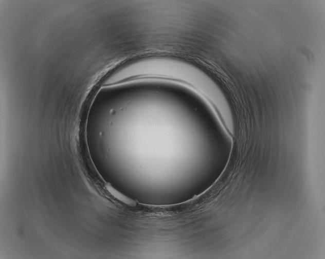 X0000112960492200909101635