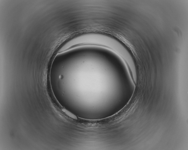 X0000112960493200909101635