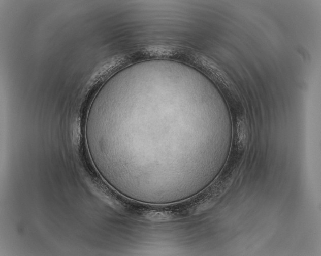 X0000112960494200909101635