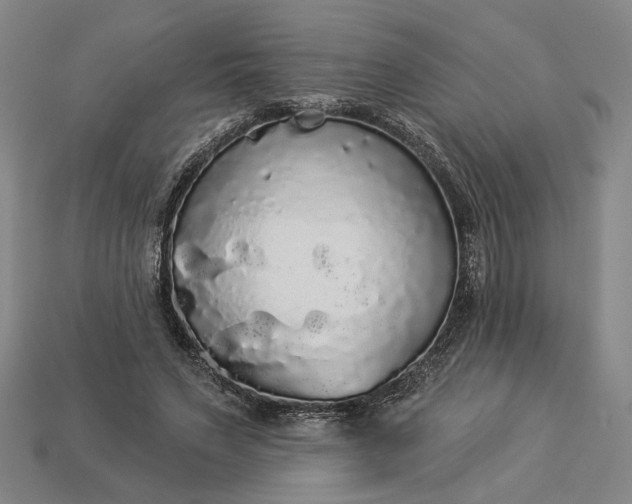 X0000112960495200909101635