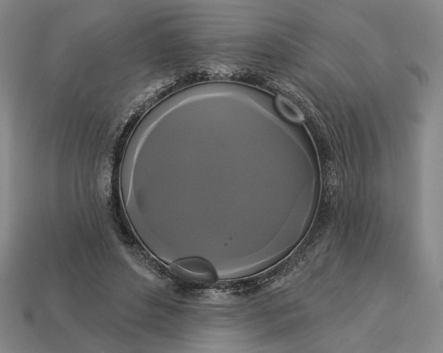 X0000112960496200909101635