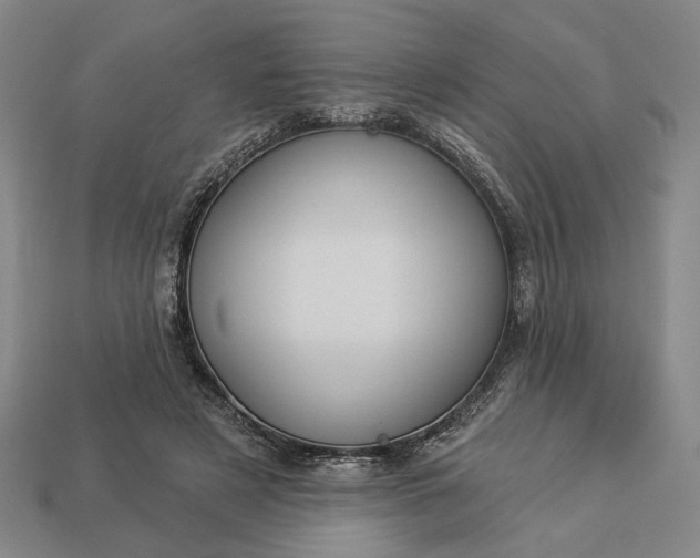 X0000112960497200909101635