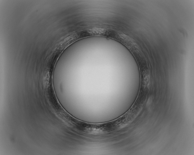 X0000112960498200909101635