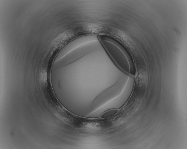 X0000112960500200909101635