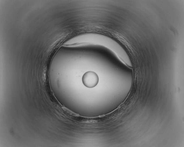 X0000112960501200909101635