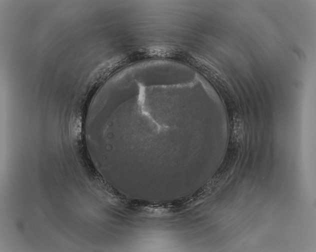 X0000112960502200909101635