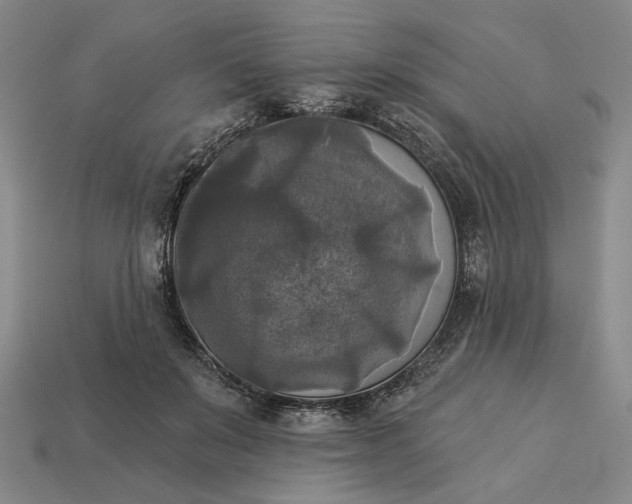 X0000112960503200909101635