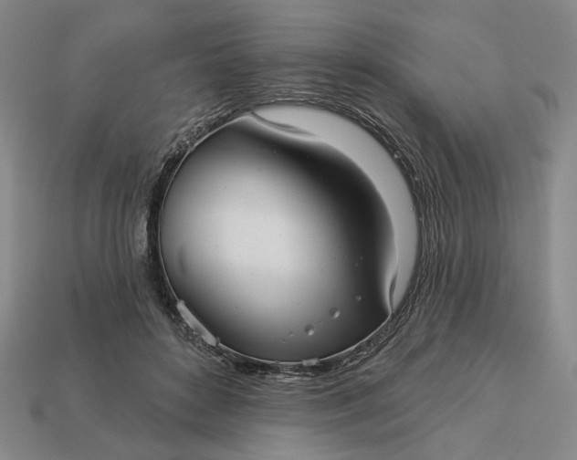 X0000112960504200909101635