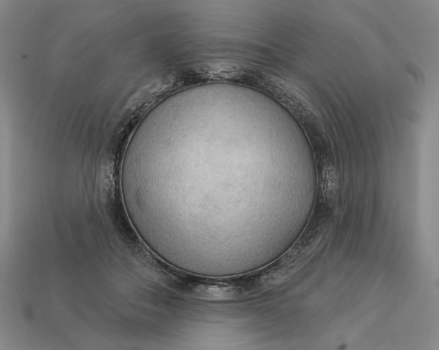 X0000112960506200909101635