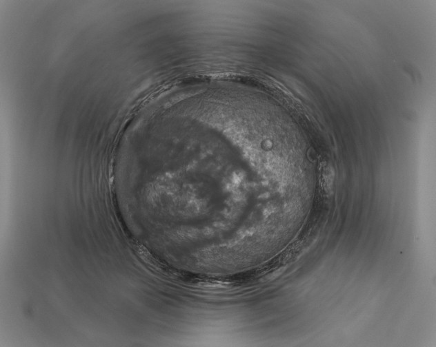 X0000112960507200909101635