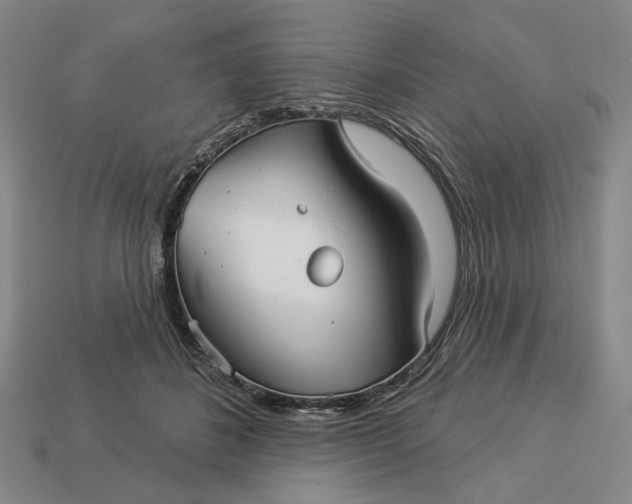 X0000112960508200909101635