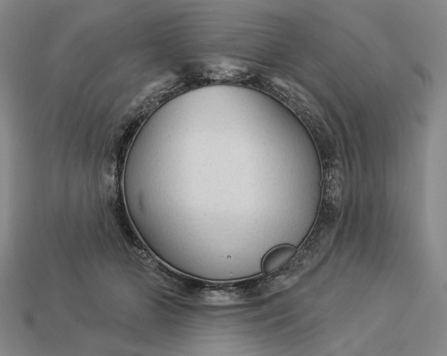 X0000112960510200909101635