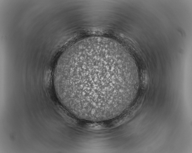 X0000112960511200909101635