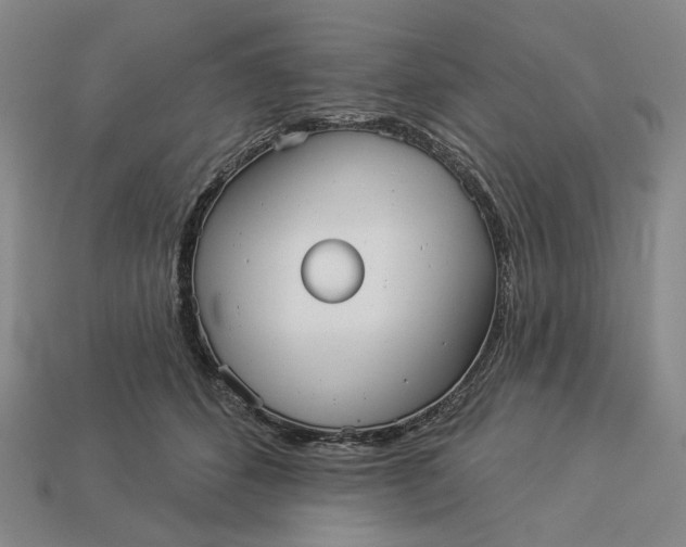 X0000112960512200909101635