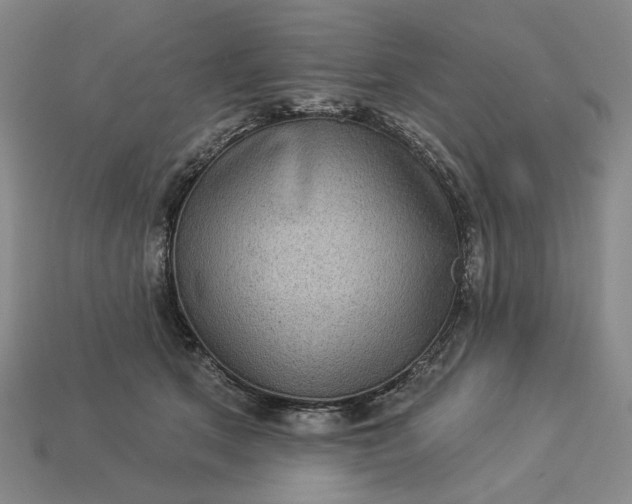 X0000112960513200909101635