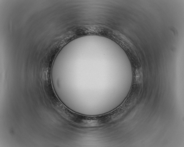 X0000112960514200909101635