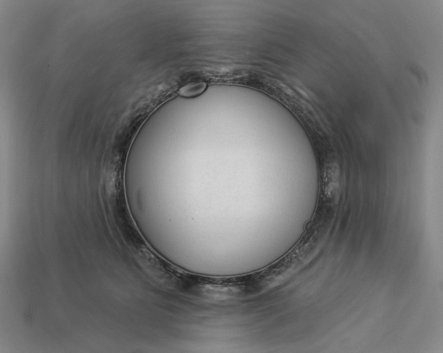 X0000112960515200909101635