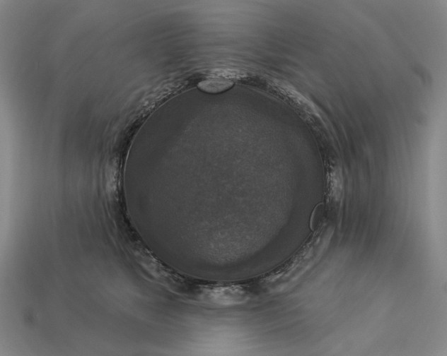 X0000112960517200909101635