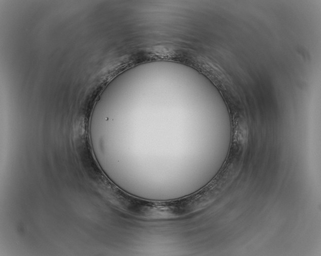 X0000112960518200909101635