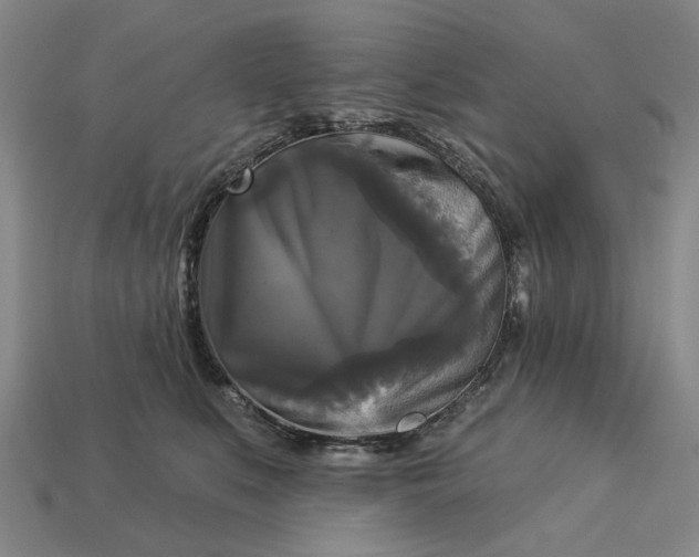 X0000112960519200909101635