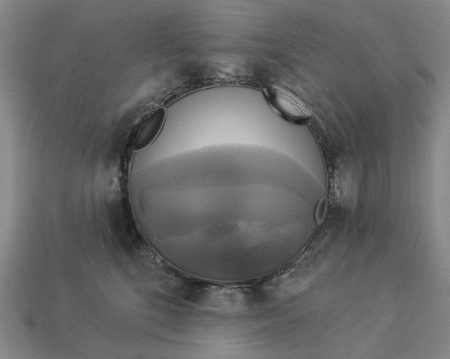 X0000112960520200909101635