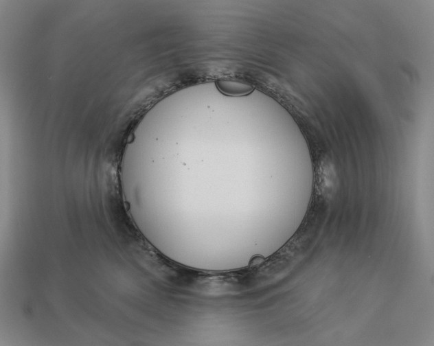 X0000112960522200909101635