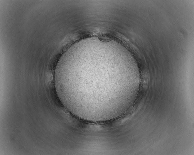 X0000112960523200909101635