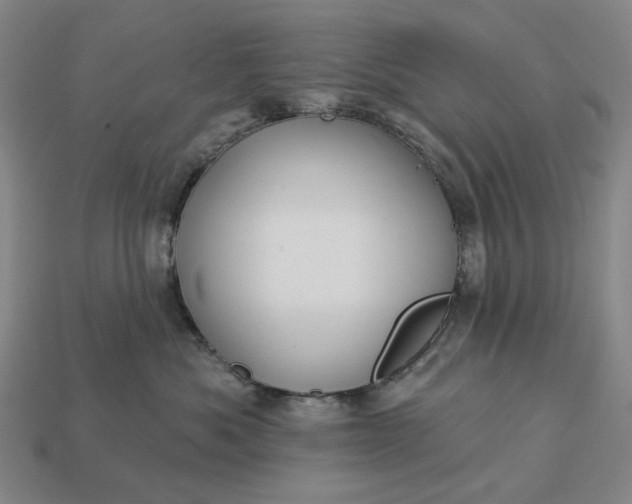 X0000112960525200909101635