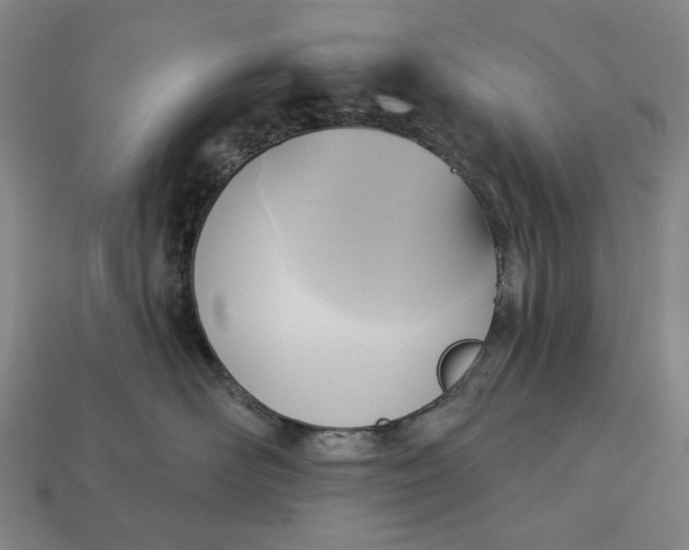 X0000112960526200909101635