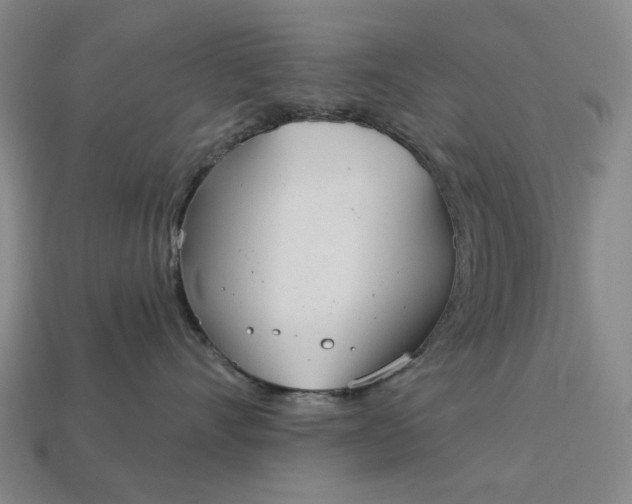 X0000112960528200909101635