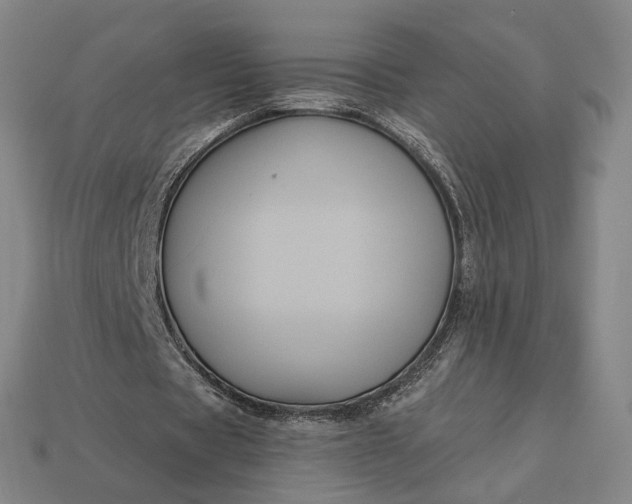 X0000112960529200909101634