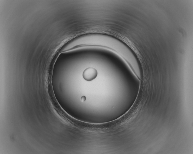 X0000112960530200909101634