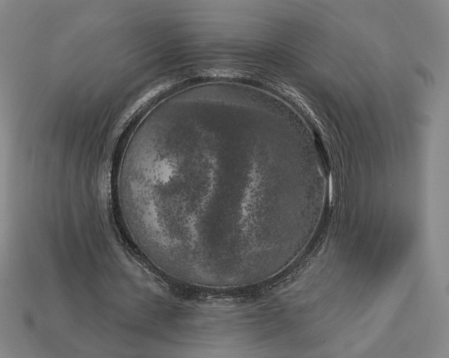 X0000112960531200909101634