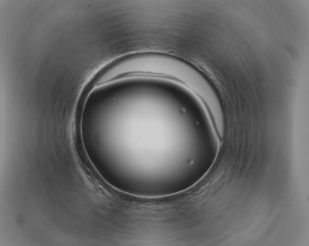 X0000112960532200909101634