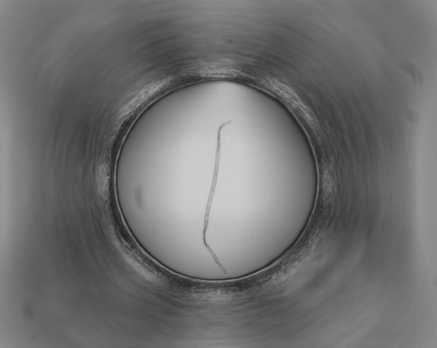 X0000112960533200909101634