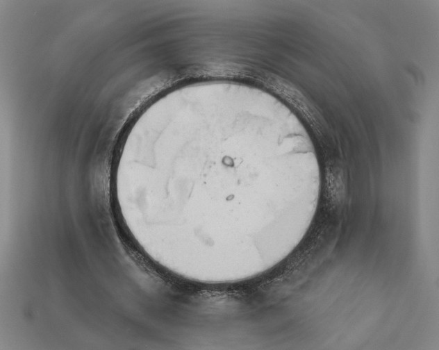 X0000112960534200909101634