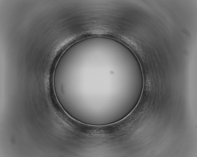 X0000112960535200909101634