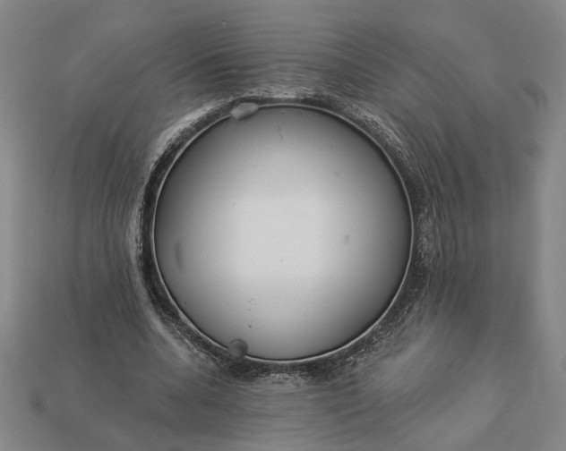 X0000112960536200909101634