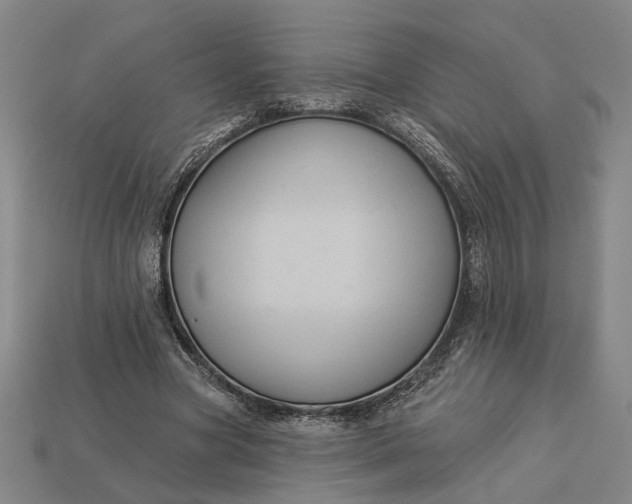 X0000112960537200909101634