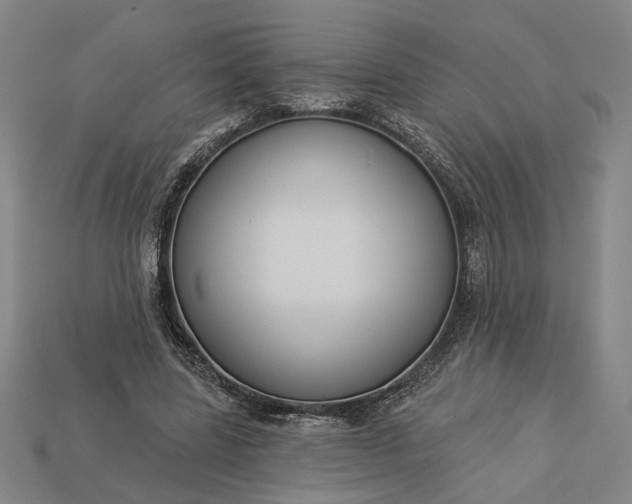 X0000112960539200909101634