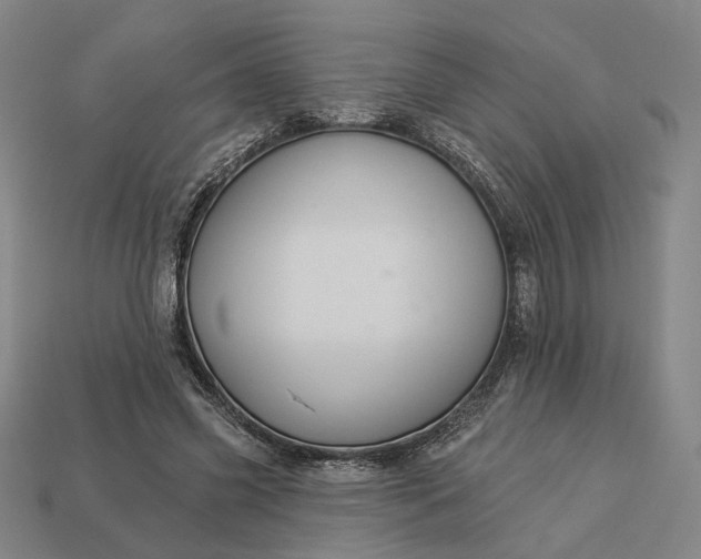 X0000112960541200909101634